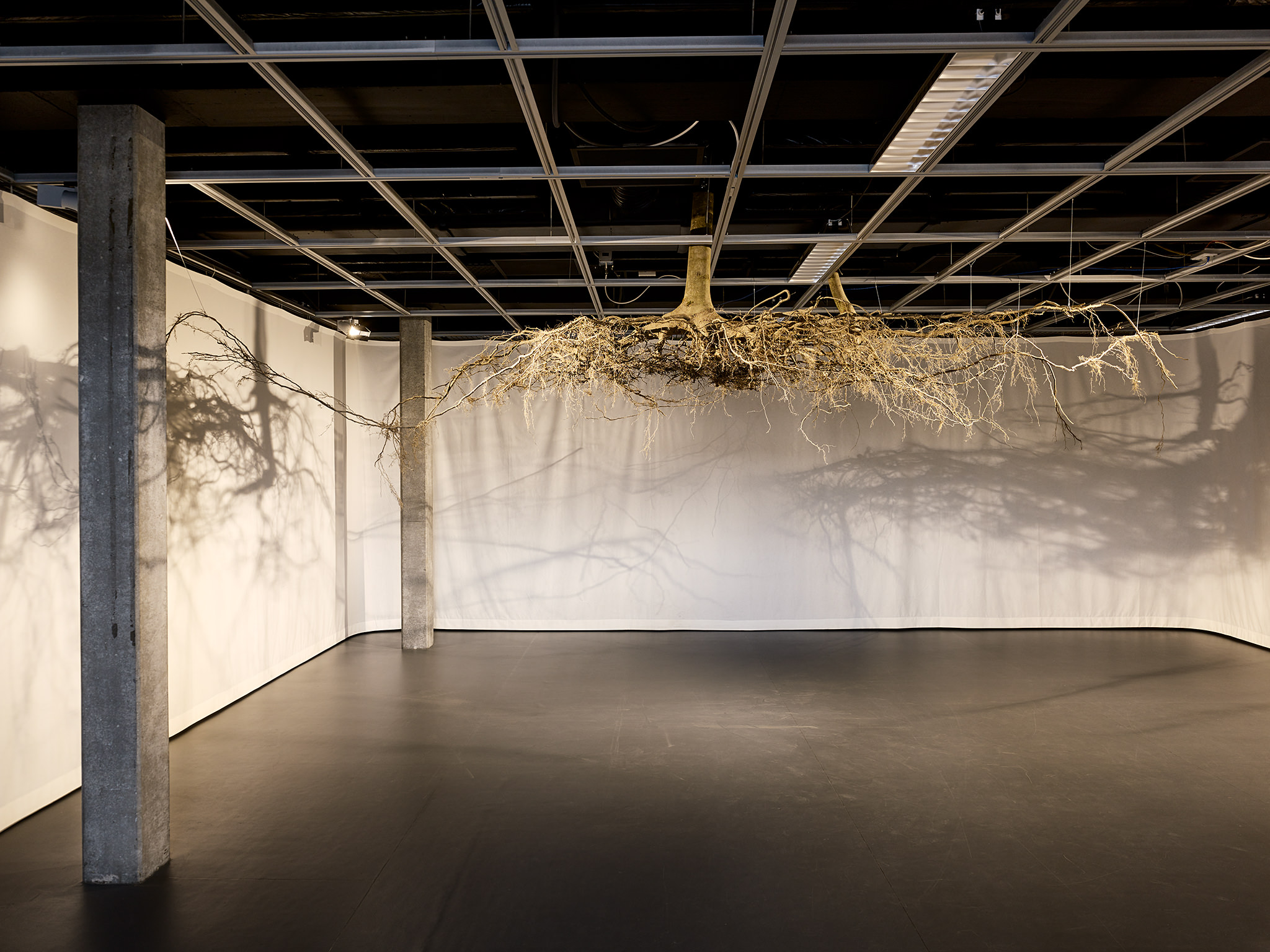 LIVE MATTER - Design Vegetal